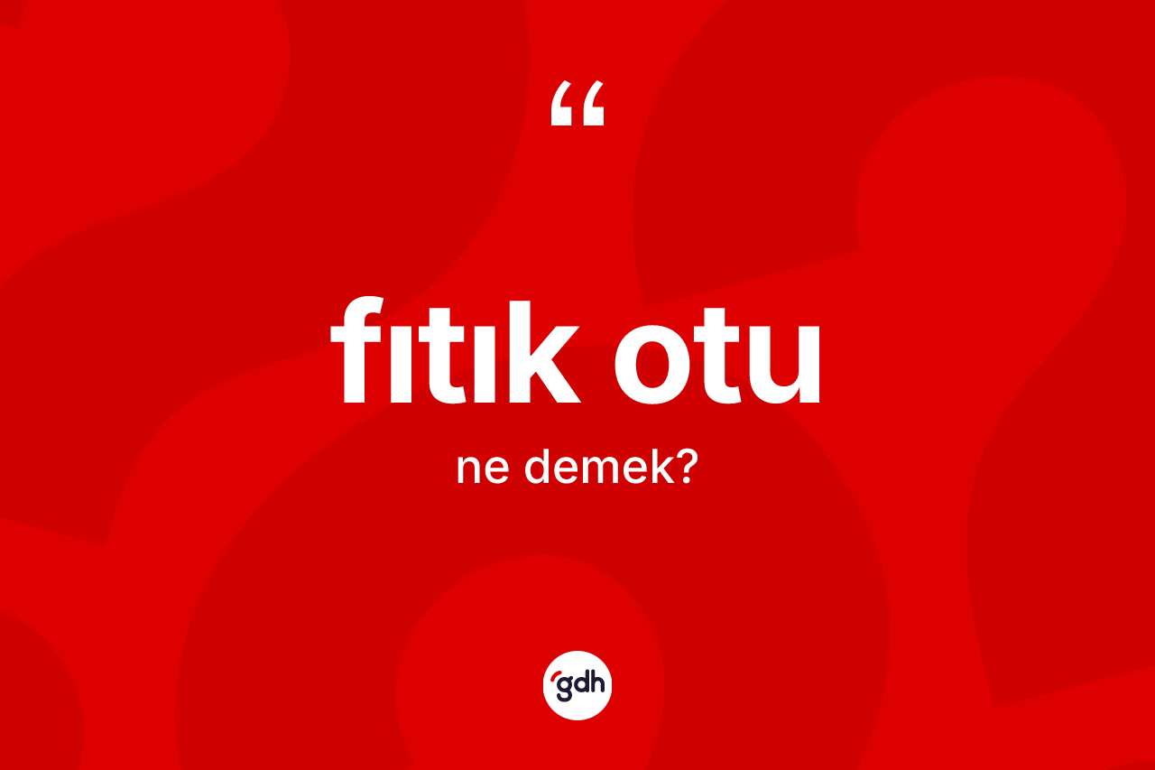Fıtık otu kelimesi ne demek? Fıtık otunun sözlükteki anlamı nedir?