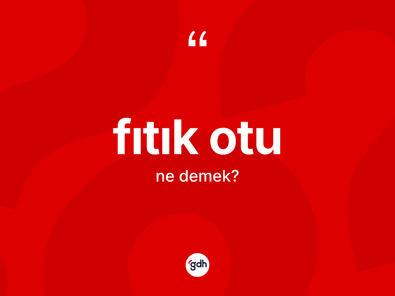 Fıtık otu kelimesi ne demek? Fıtık otunun sözlükteki anlamı nedir?