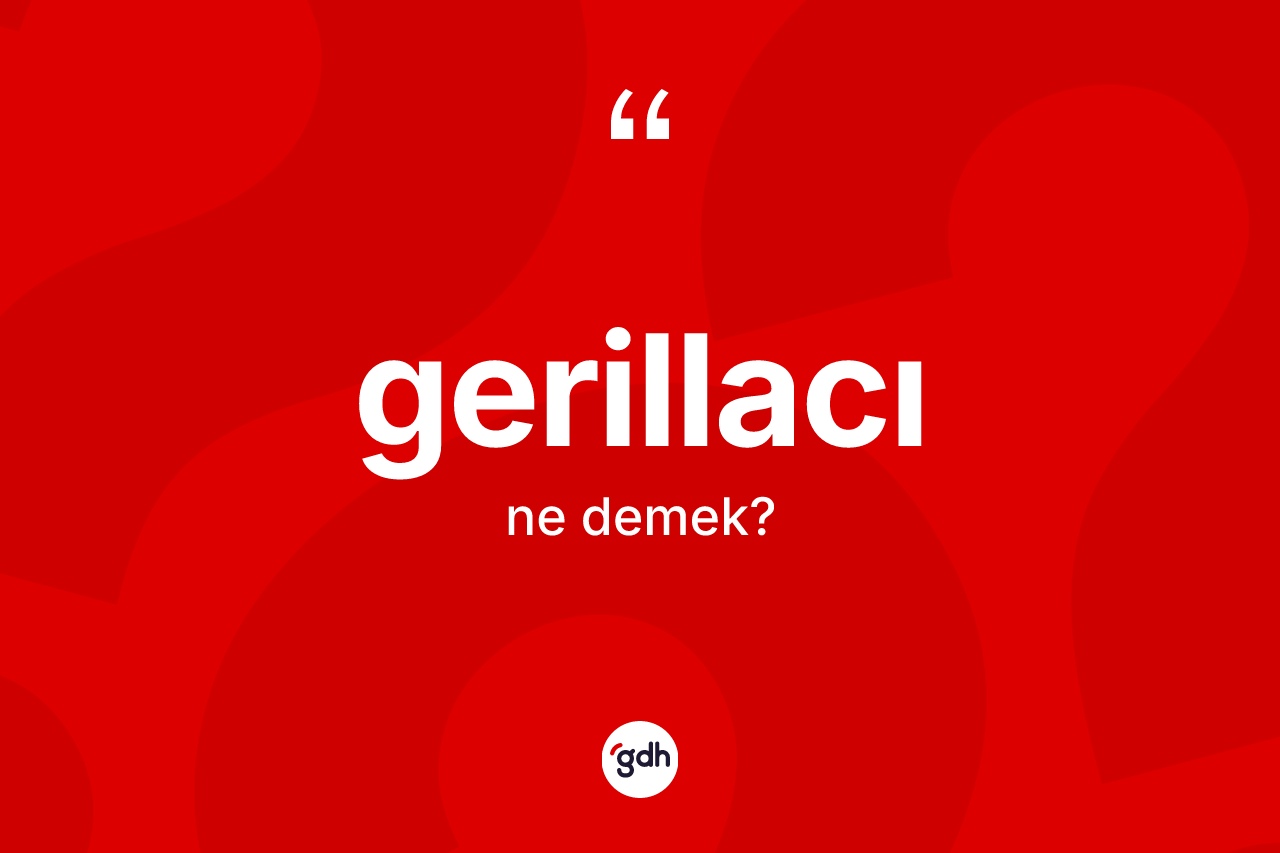 Gerillacı kelimesi nedir? Gerillacı kelimesinin TDK'ya göre açıklaması nedir?