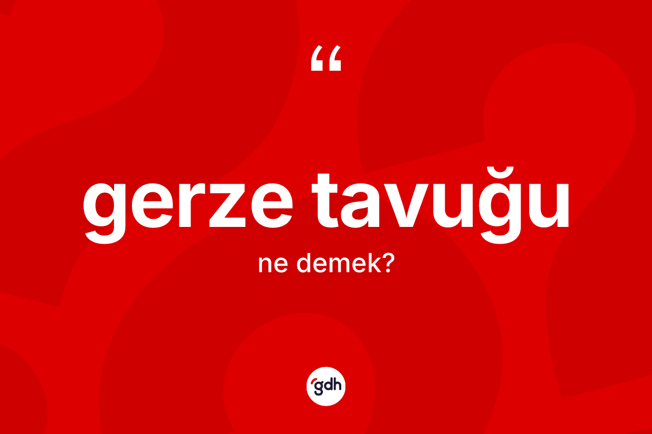 Gerze tavuğu ne anlama gelir? Gerze tavuğunun TDK'ya göre anlamı nedir?