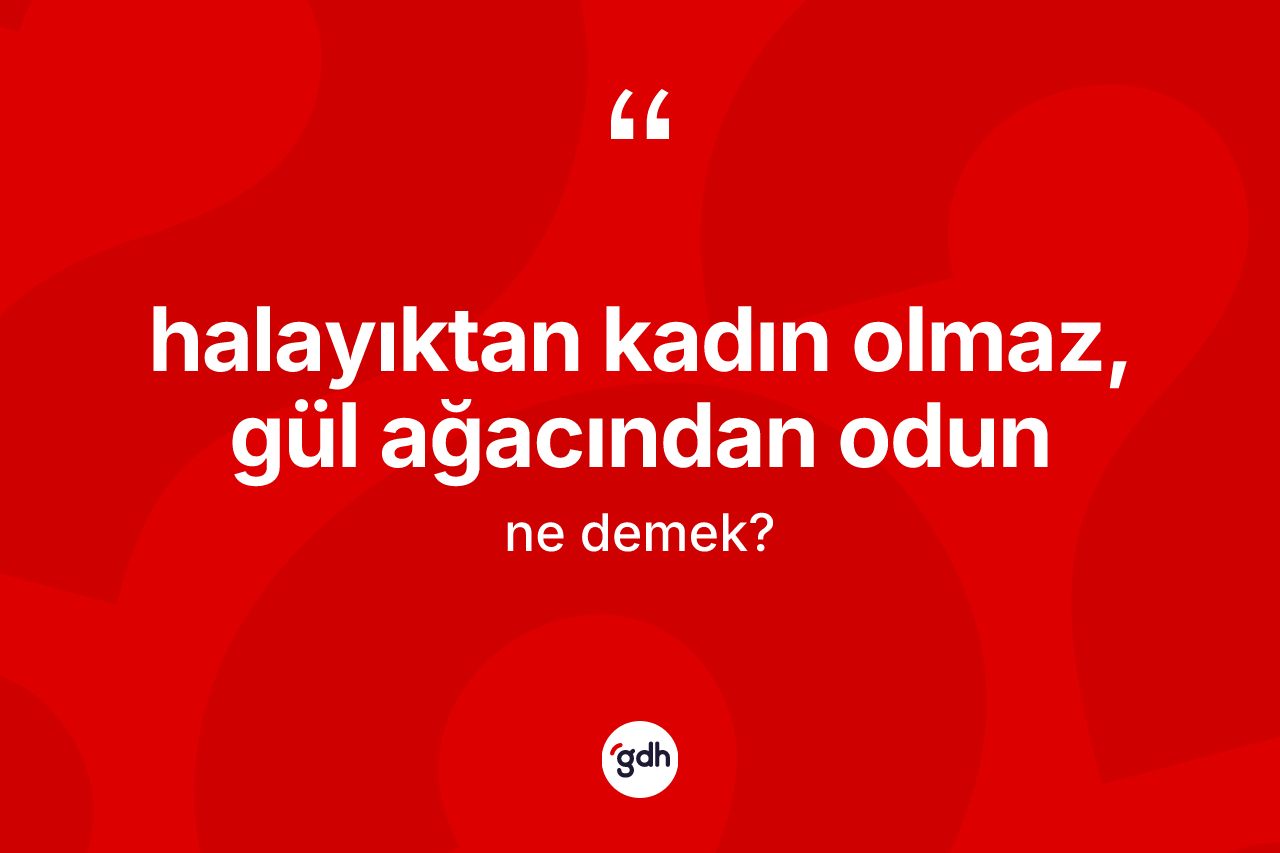 Halayıktan kadın olmaz, gül ağacından odun ifadesinin kısaca anlamı nedir? Halayıktan kadın olmaz, gül ağacından odun sözünün TDK açıklaması nedir?