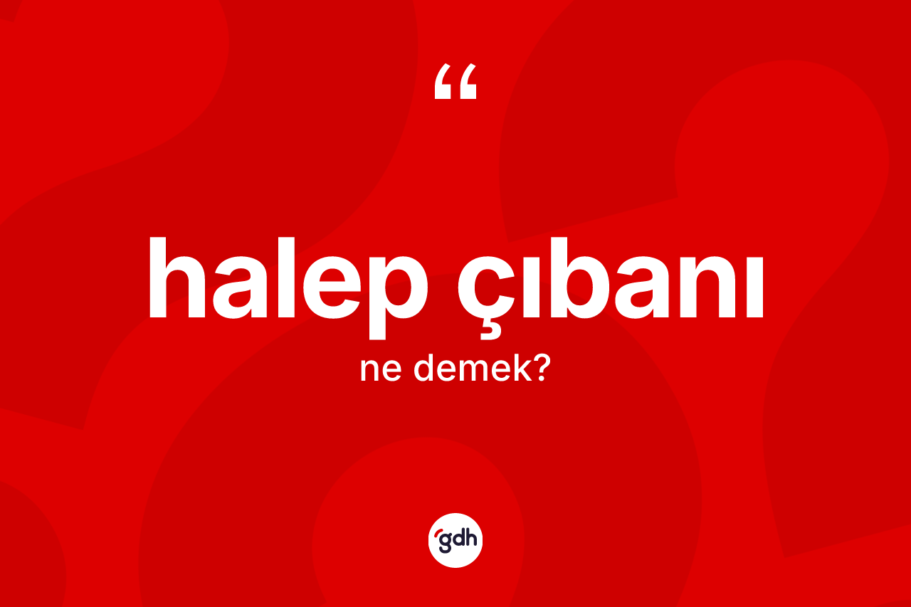 Halep çıbanı kelimesi nedir? Halep çıbanı kelimesinin TDK'ya göre açıklaması nedir?