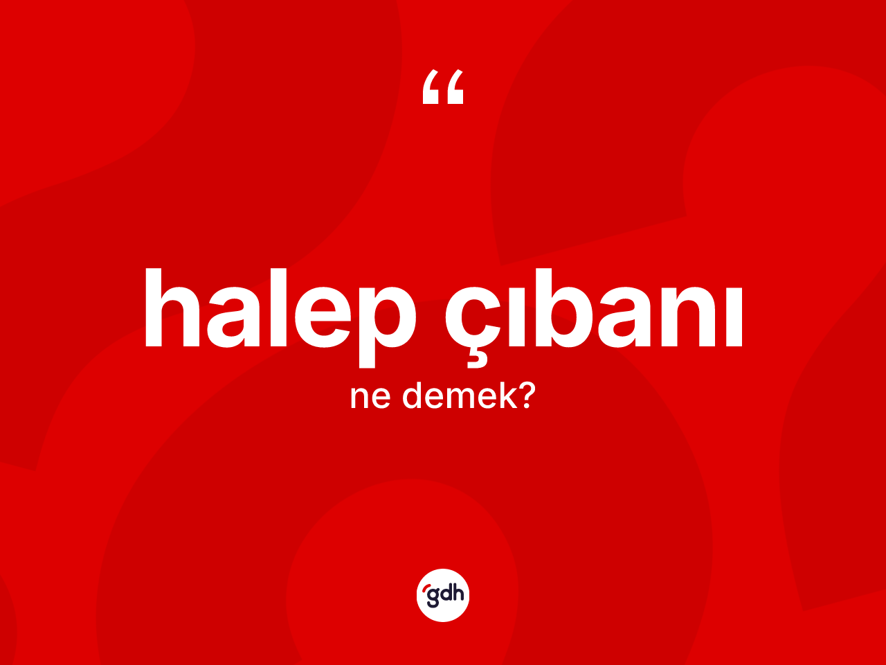 Halep çıbanı kelimesi nedir? Halep çıbanı kelimesinin TDK'ya göre açıklaması nedir?