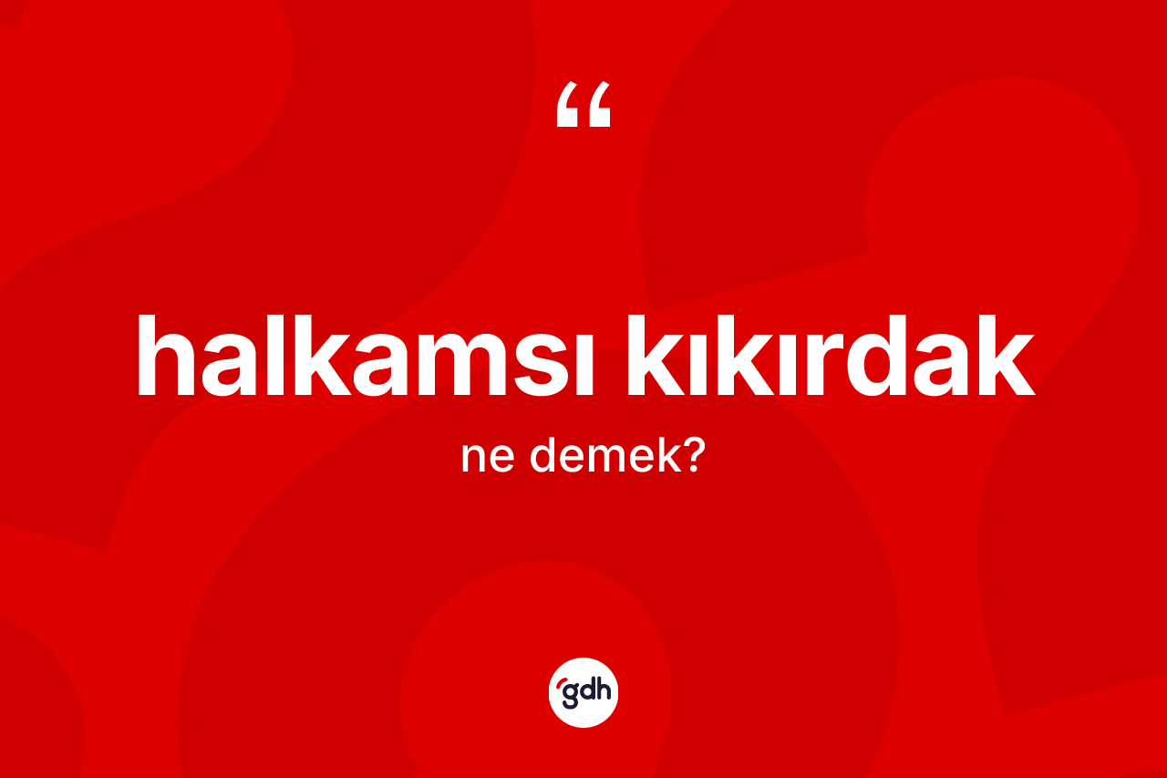 Halkamsı kıkırdak ne demek? Halkamsı kıkırdağın TDK'ya göre anlamı nedir?