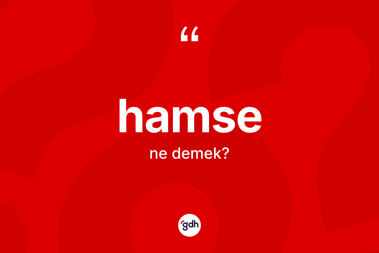 Hamse kelimesinin sözlükteki tanımı nedir? Hamsenin TDK'ya göre anlamı nedir?