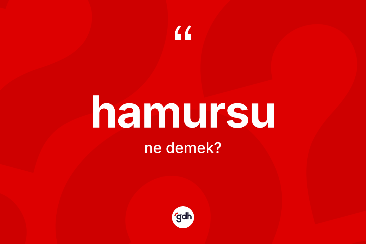 Hamursu kelimesinin sözlükteki tanımı nedir? Hamursunun TDK'ya göre anlamı nedir?