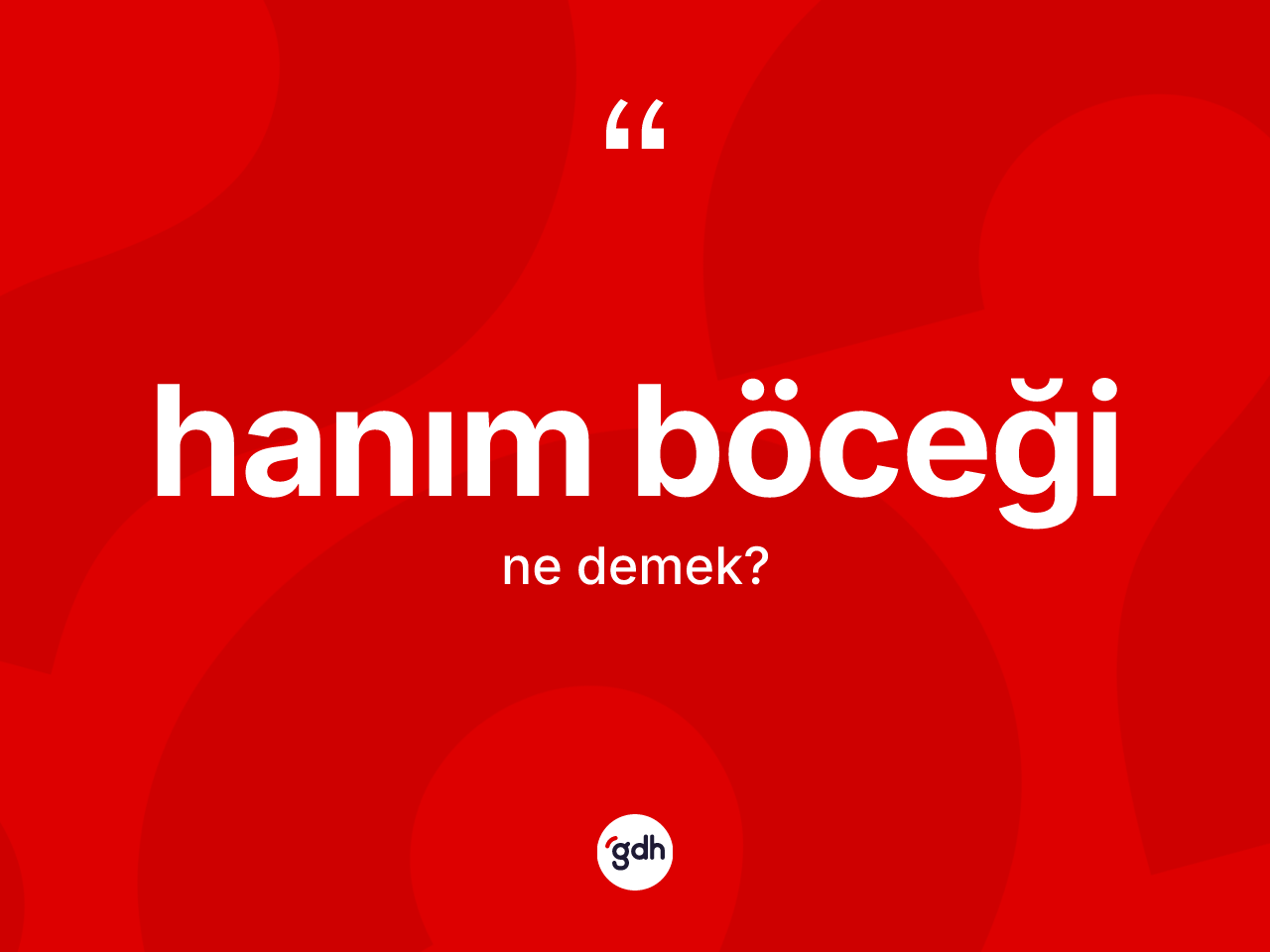 Hanım böceği ne anlama gelir? Hanım böceğinin sözlükteki anlamı nedir?