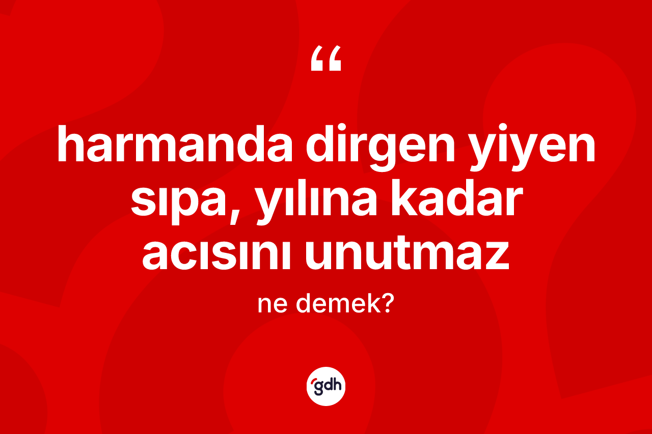 Harmanda dirgen yiyen sıpa, yılına kadar acısını unutmaz ne anlama gelir? Harmanda dirgen yiyen sıpa, yılına kadar acısını unutmaz ifadesi nerede kullanılır?