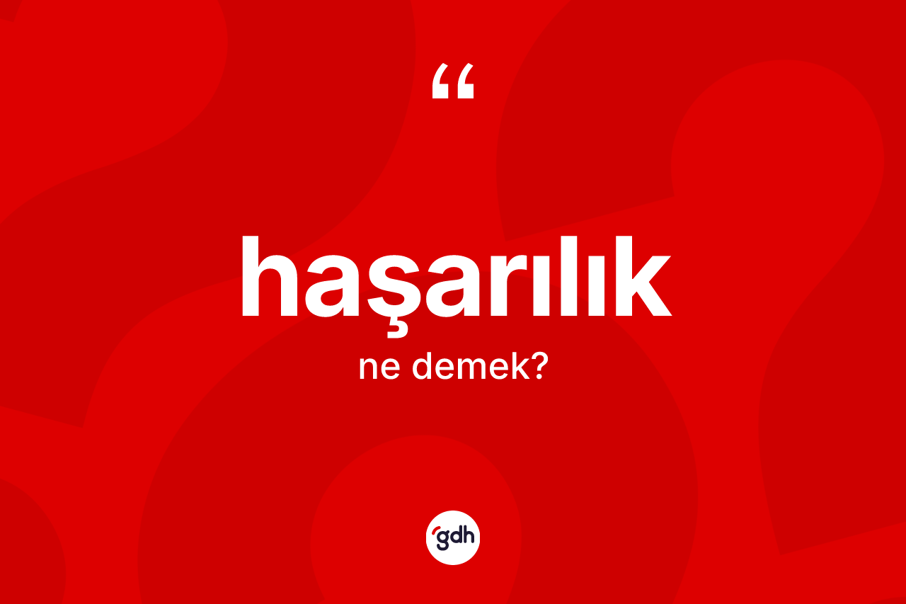 Haşarılık nedir? Haşarılığın kısaca tanımı nedir?