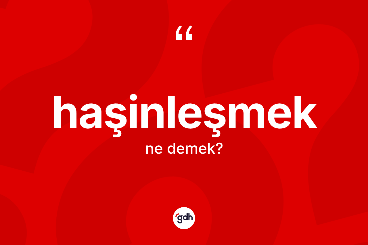 Haşinleşmek kelimesinin sözlükteki tanımı nedir? Haşinleşmek kelimesinin TDK anlamı nedir?