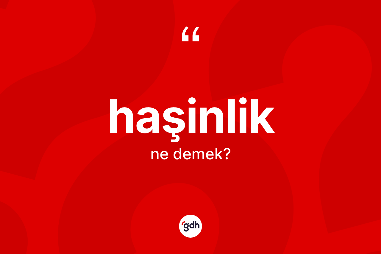 Haşinlik kelimesinin sözlükteki tanımı nedir? Haşinliğin TDK'ya göre anlamı nedir?