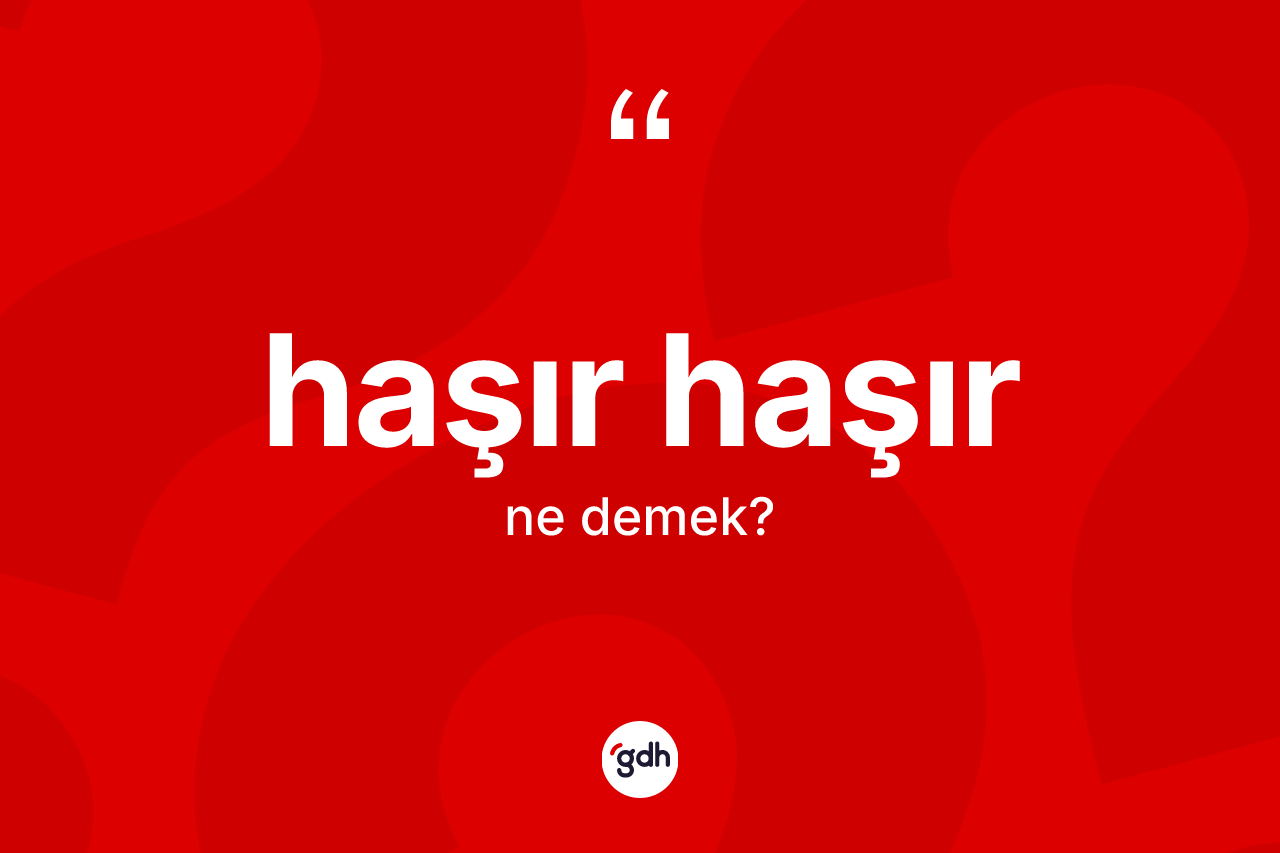 Haşır haşır kelimesinin tanımı nedir? Haşır haşırın TDK'ya göre anlamı nedir?