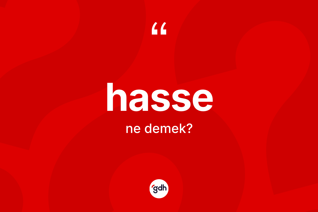Hasse kelimesi ne anlama gelir? Hasse kelimesinin kaç farklı anlamı var?