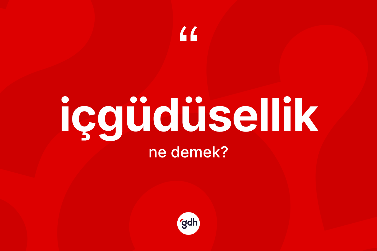İçgüdüsellik kelimesi nedir? İçgüdüsellik kelimesinin TDK anlamı nedir?