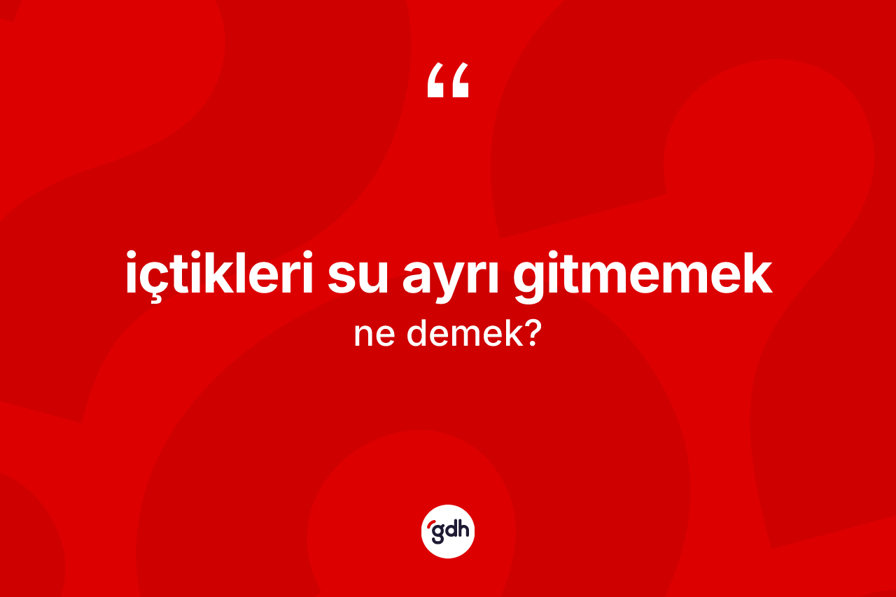 İçtikleri su ayrı gitmemek ne anlama gelir? İçtikleri su ayrı gitmemek ifadesinin TDK'ya göre açıklaması nedir?