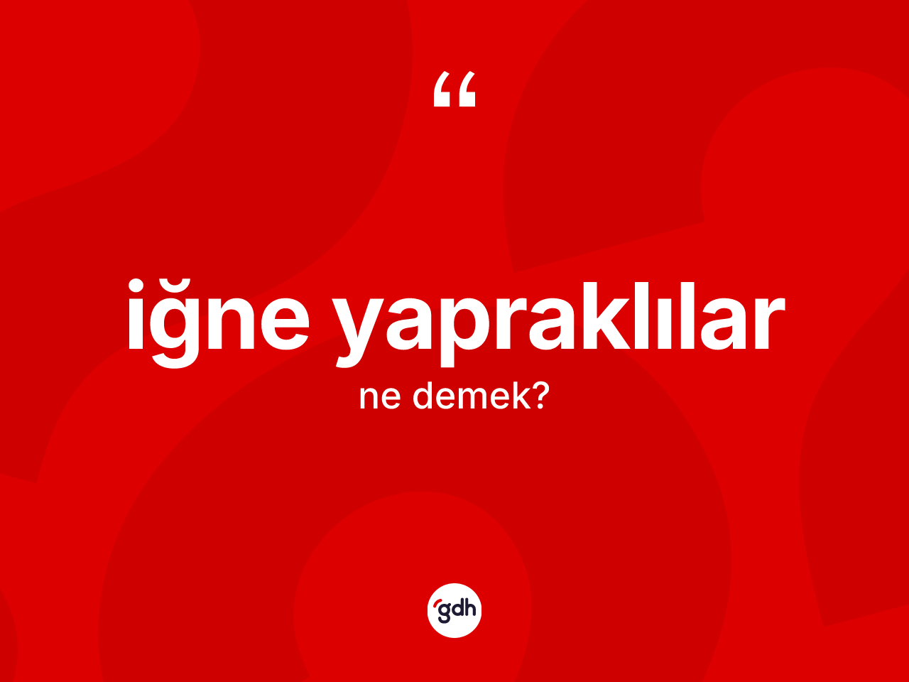 İğne yapraklılar kelimesinin sözlükteki tanımı nedir? İğne yapraklılar kelimesinin kaç farklı anlamı var?