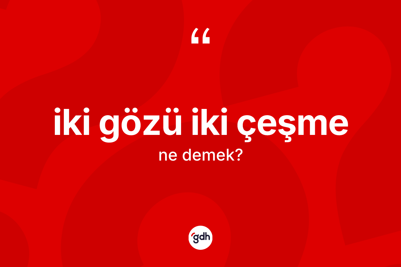 İki gözü iki çeşme ifadesinin kısaca anlamı nedir? İki gözü iki çeşme ifadesi hangi durumlarda kullanılır