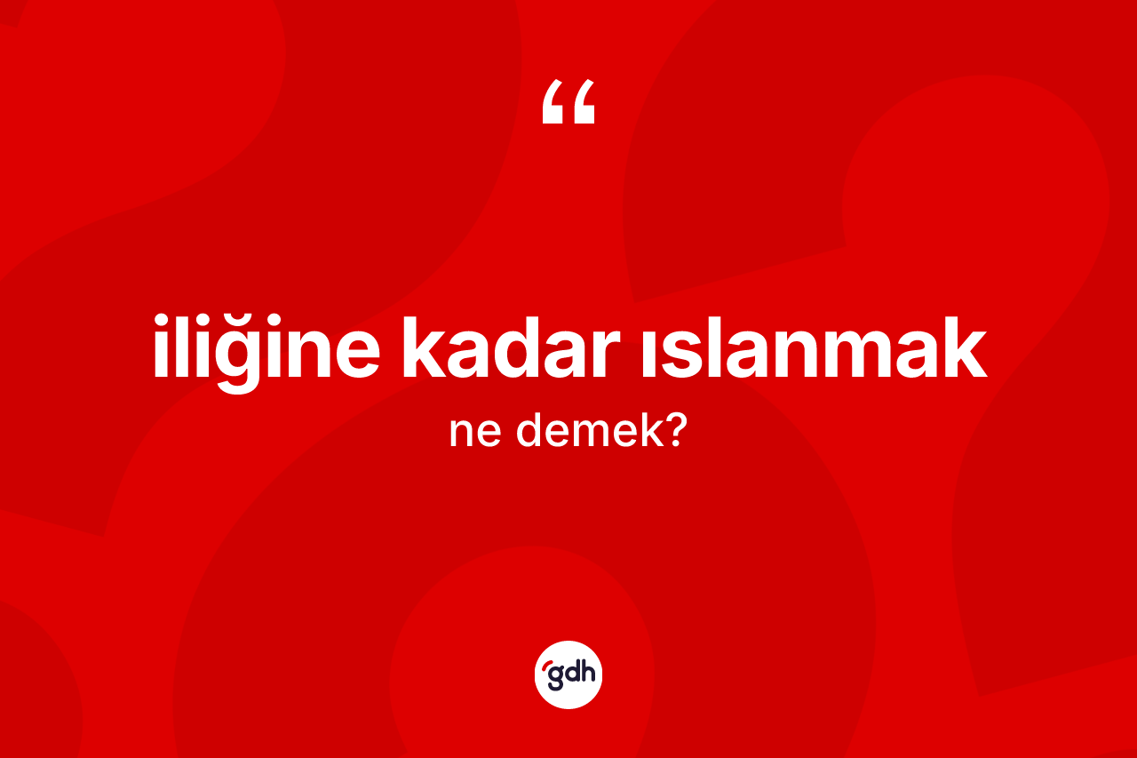 İliğine kadar ıslanmak ifadesinin sözlükteki anlamı nedir? İliğine kadar ıslanmak ifadesinin TDK'ya göre anlamı nedir?