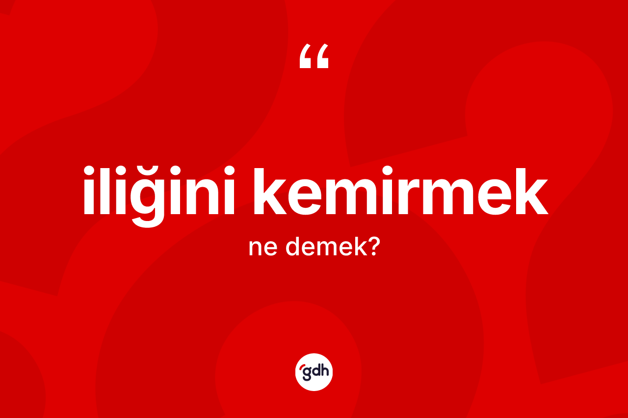 İliğini kemirmek sözü ne demektir? İliğini kemirmek ifadesinin TDK anlamı nedir?