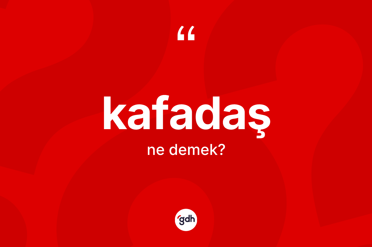 Kafadaş ne demek? Kafadaş kelimesinin özellikleri nelerdir?