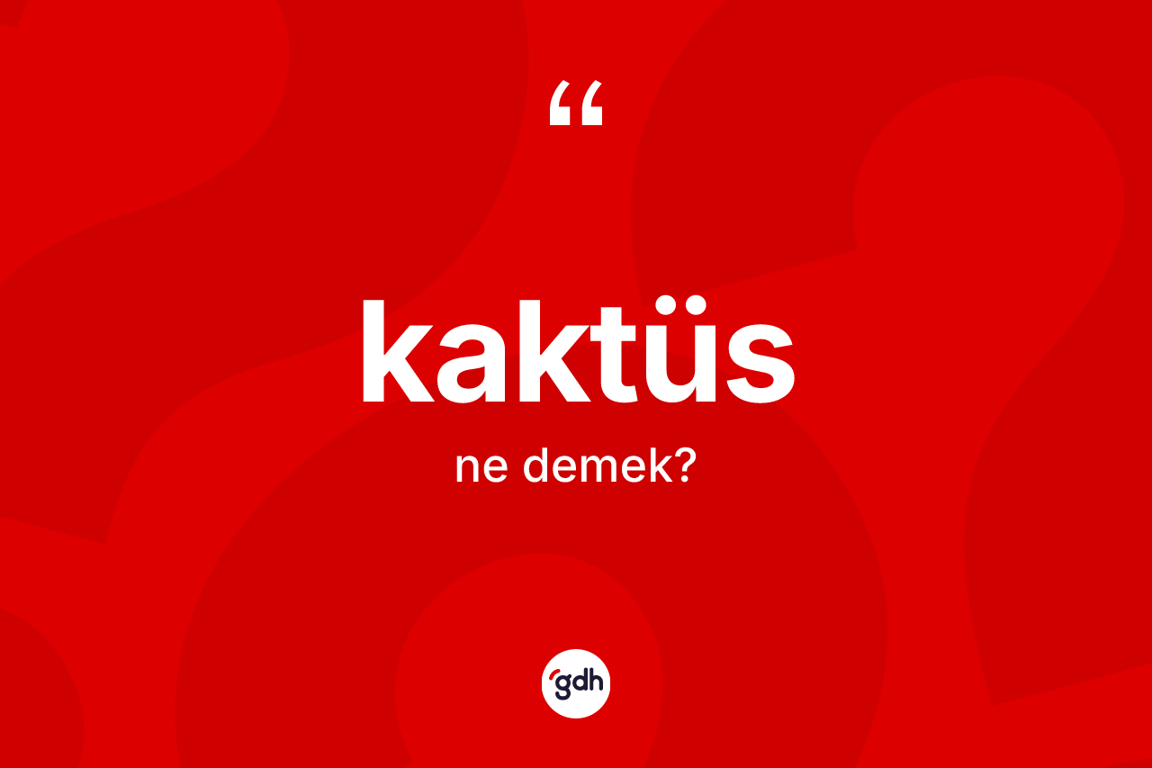 Kaktüs kelimesinin sözlükteki tanımı nedir? Kaktüs kelimesinin TDK anlamı nedir?