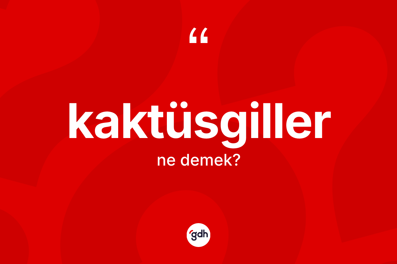 Kaktüsgiller kelimesinin tanımı nedir? Kaktüsgillerin TDK'ya göre anlamı nedir?