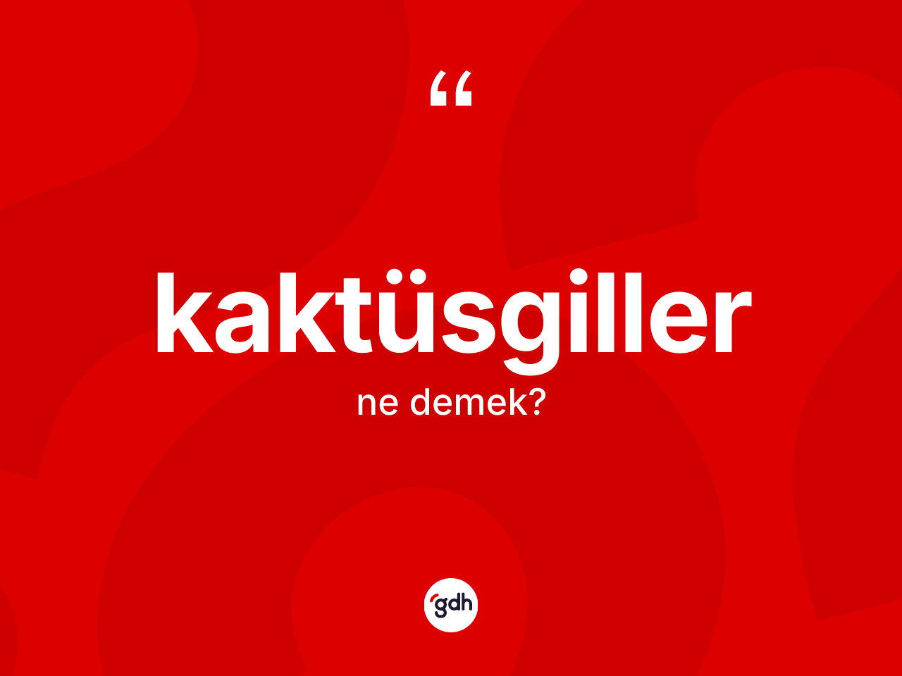 Kaktüsgiller kelimesinin tanımı nedir? Kaktüsgillerin TDK'ya göre anlamı nedir?