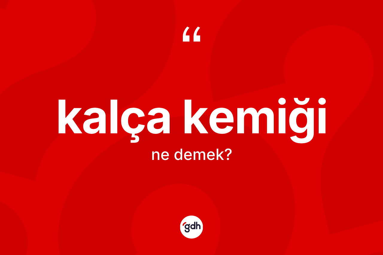 Kalça kemiği nedir? Kalça kemiği kelimesinin özellikleri nelerdir?