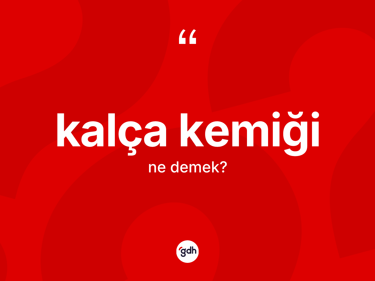 Kalça kemiği nedir? Kalça kemiği kelimesinin özellikleri nelerdir?