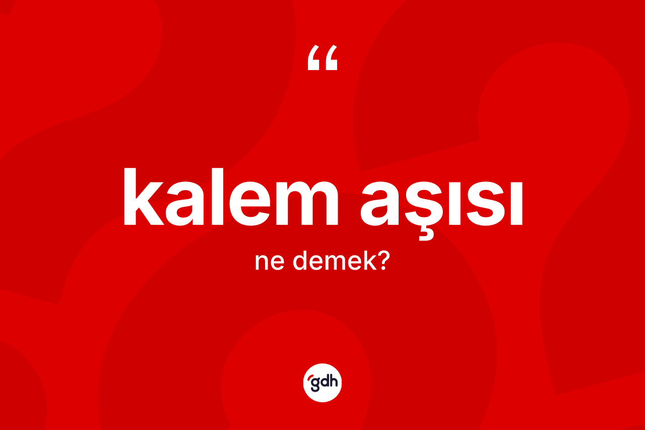 Kalem aşısı kelimesinin tanımı nedir? Kalem aşısının TDK'ya göre anlamı nedir?