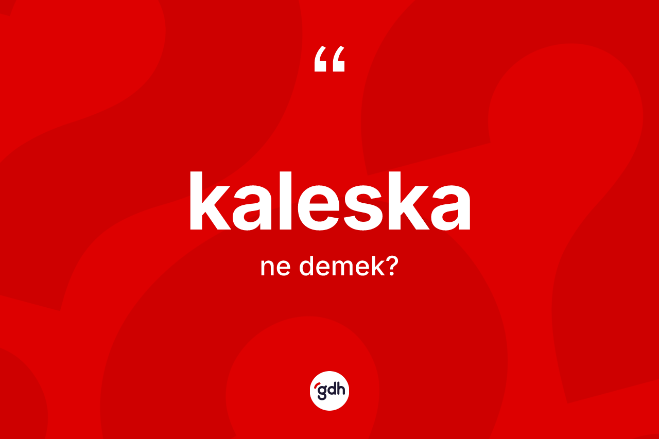 Kaleska ne demek? Kaleskanın halk arasındaki kullanımı nasıldır?