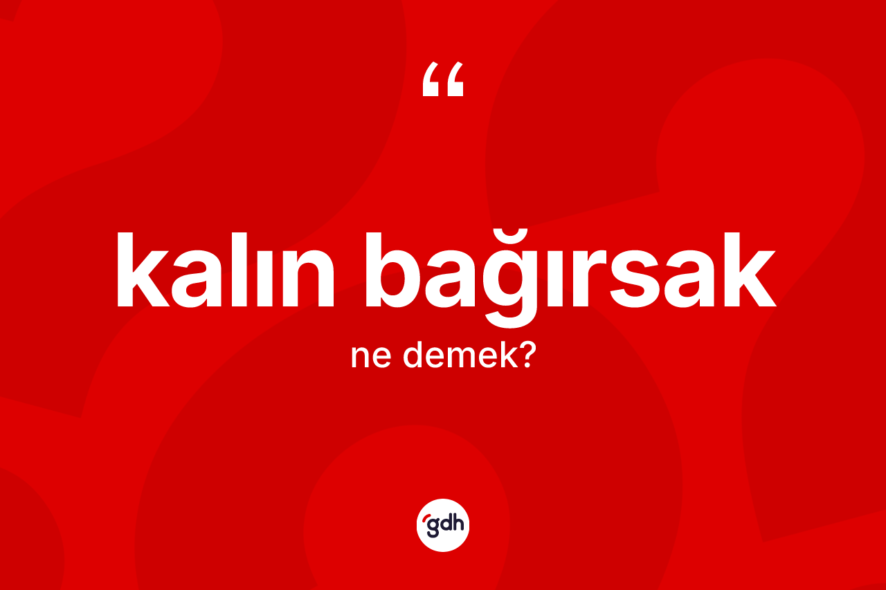 Kalın bağırsak nedir? Kalın bağırsak kelimesinin TDK'ya göre açıklaması nedir?