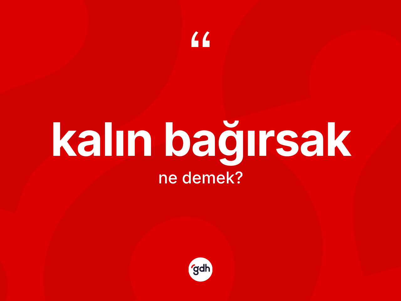 Kalın bağırsak nedir? Kalın bağırsak kelimesinin TDK'ya göre açıklaması nedir?