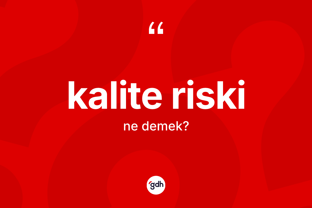 Kalite riski nedir? Kalite riski kelimesinin TDK anlamı nedir?