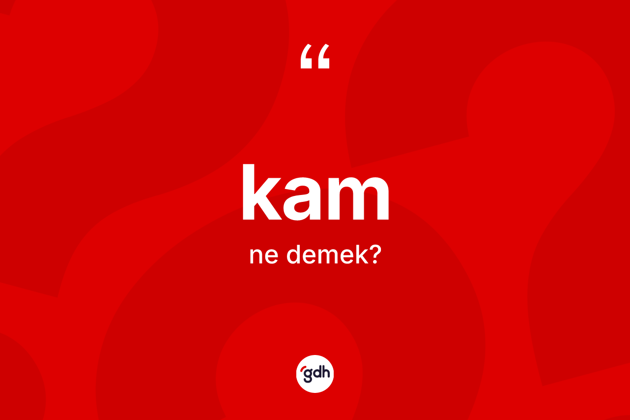 Kam kelimesinin anlamı nedir? Kam kelimesinin TDK anlamı nedir?