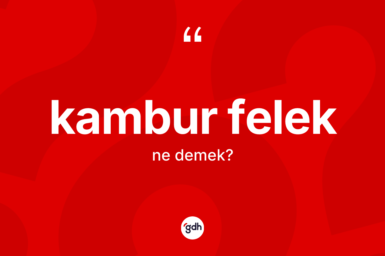 Kambur felek kelimesinin tanımı nedir? Kambur felek kelimesinin özellikleri nelerdir?
