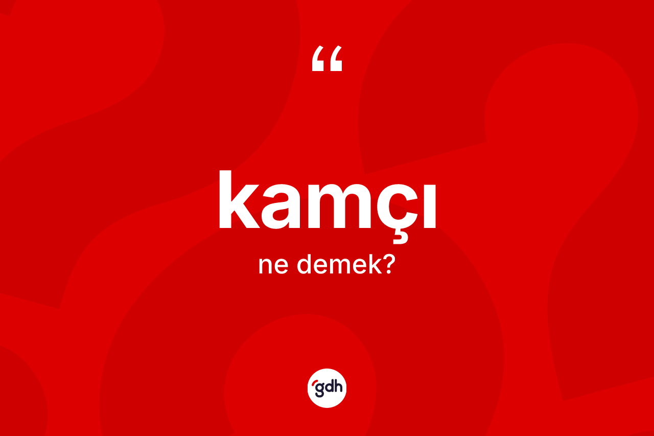 Kamçı kelimesinin tanımı nedir? Kamçı kelimesinin TDK'ya göre açıklaması nedir?