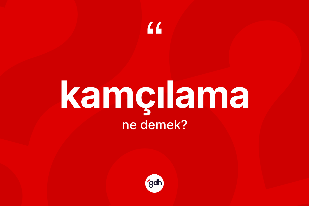 Kamçılama kelimesinin anlamı nedir? Kamçılama kelimesinin özellikleri nelerdir?