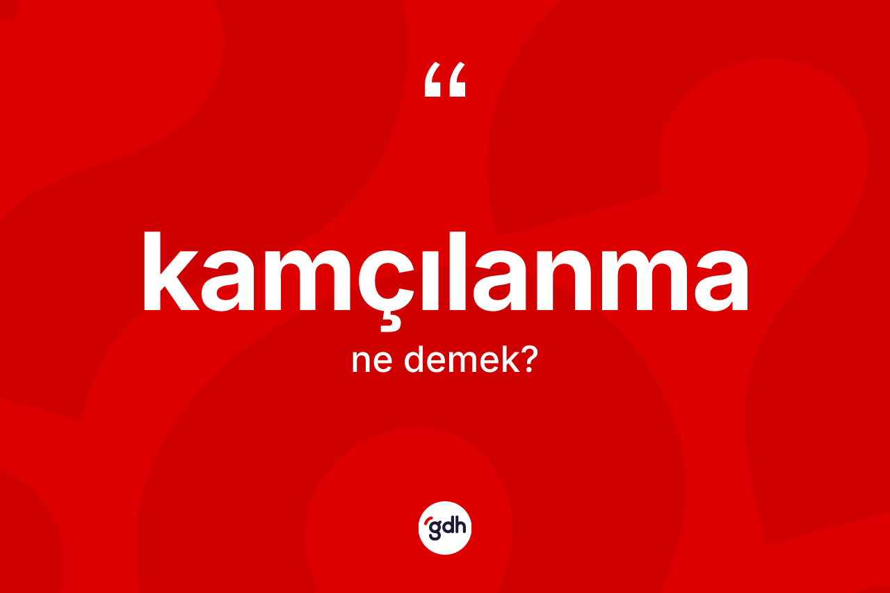 Kamçılanma kelimesinin sözlükteki tanımı nedir? Kamçılanmanın TDK'ya göre anlamı nedir?