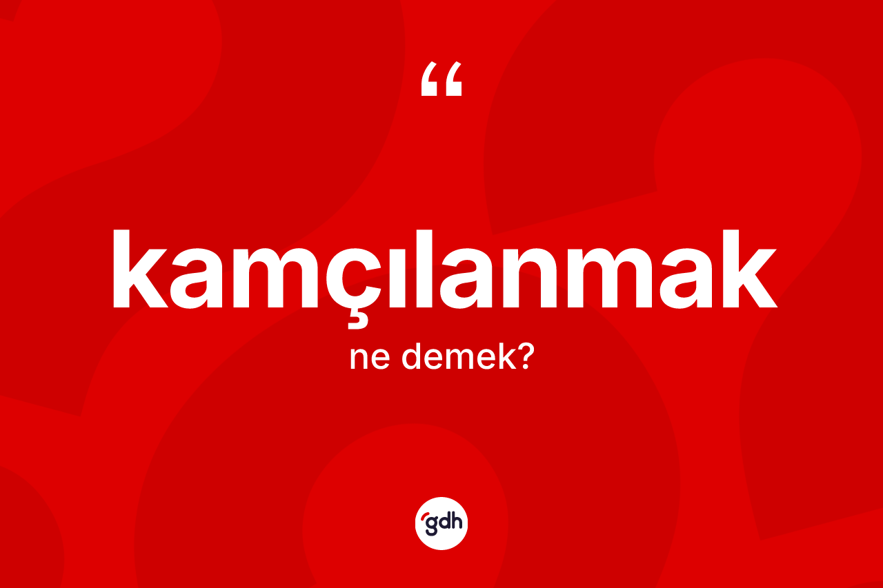 Kamçılanmak kelimesinin anlamı nedir? Kamçılanmak kelimesinin TDK'ya göre açıklaması nedir?