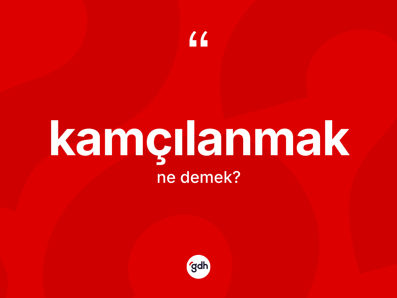 Kamçılanmak kelimesinin anlamı nedir? Kamçılanmak kelimesinin TDK'ya göre açıklaması nedir?