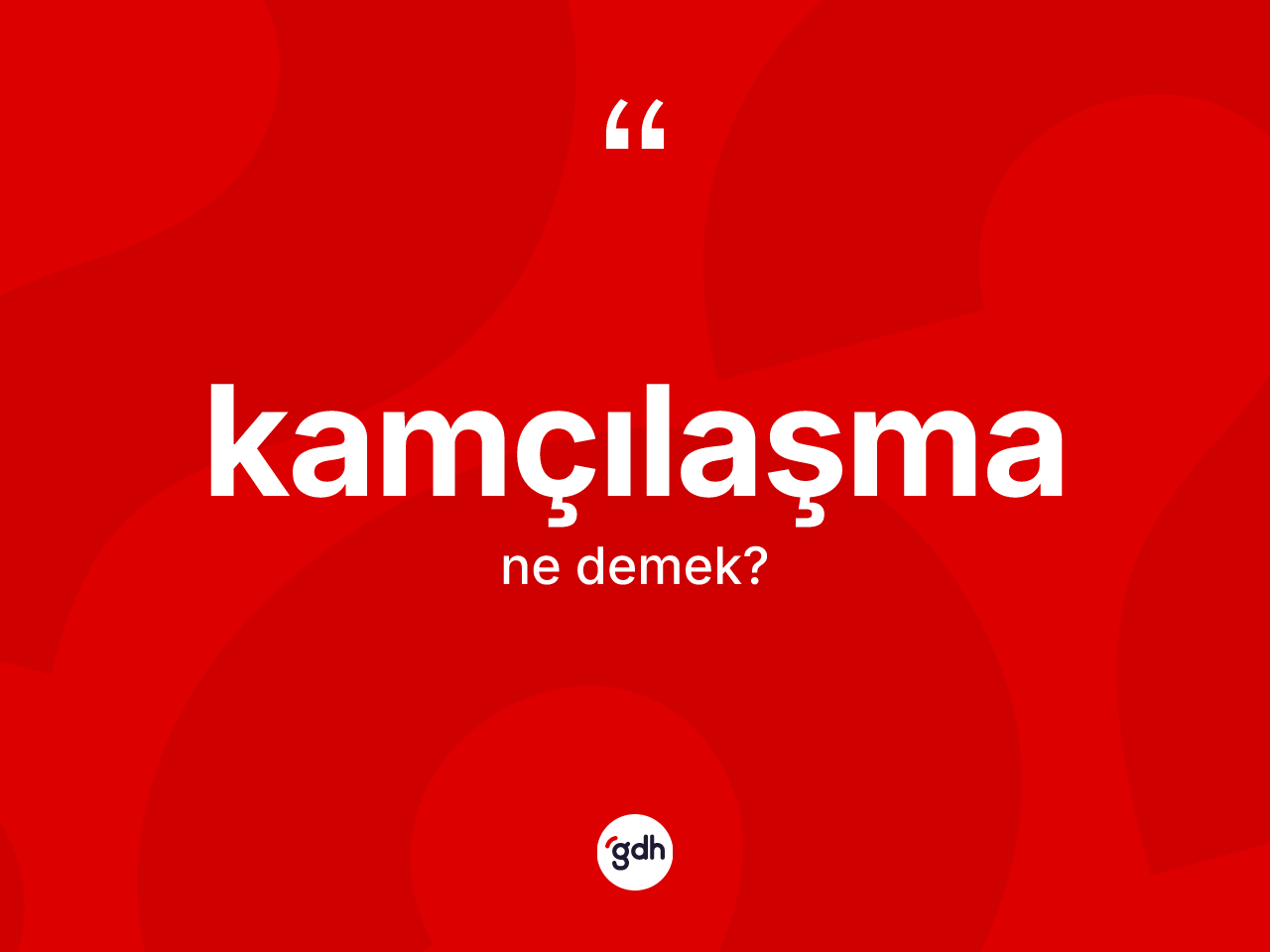 Kamçılaşma kelimesi ne demek? Kamçılaşma kelimesinin özellikleri nelerdir?