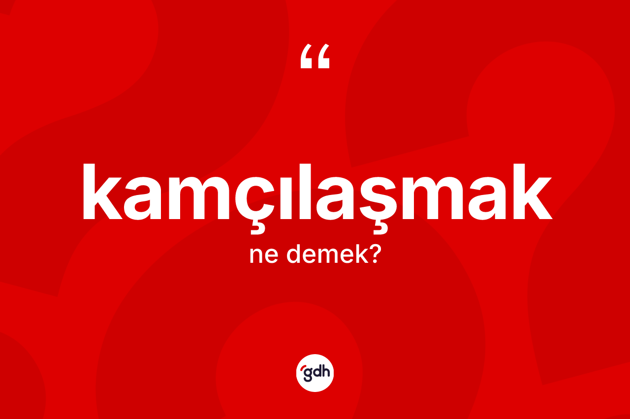 Kamçılaşmak kelimesinin tanımı nedir? Kamçılaşmak kelimesinin TDK anlamı nedir?