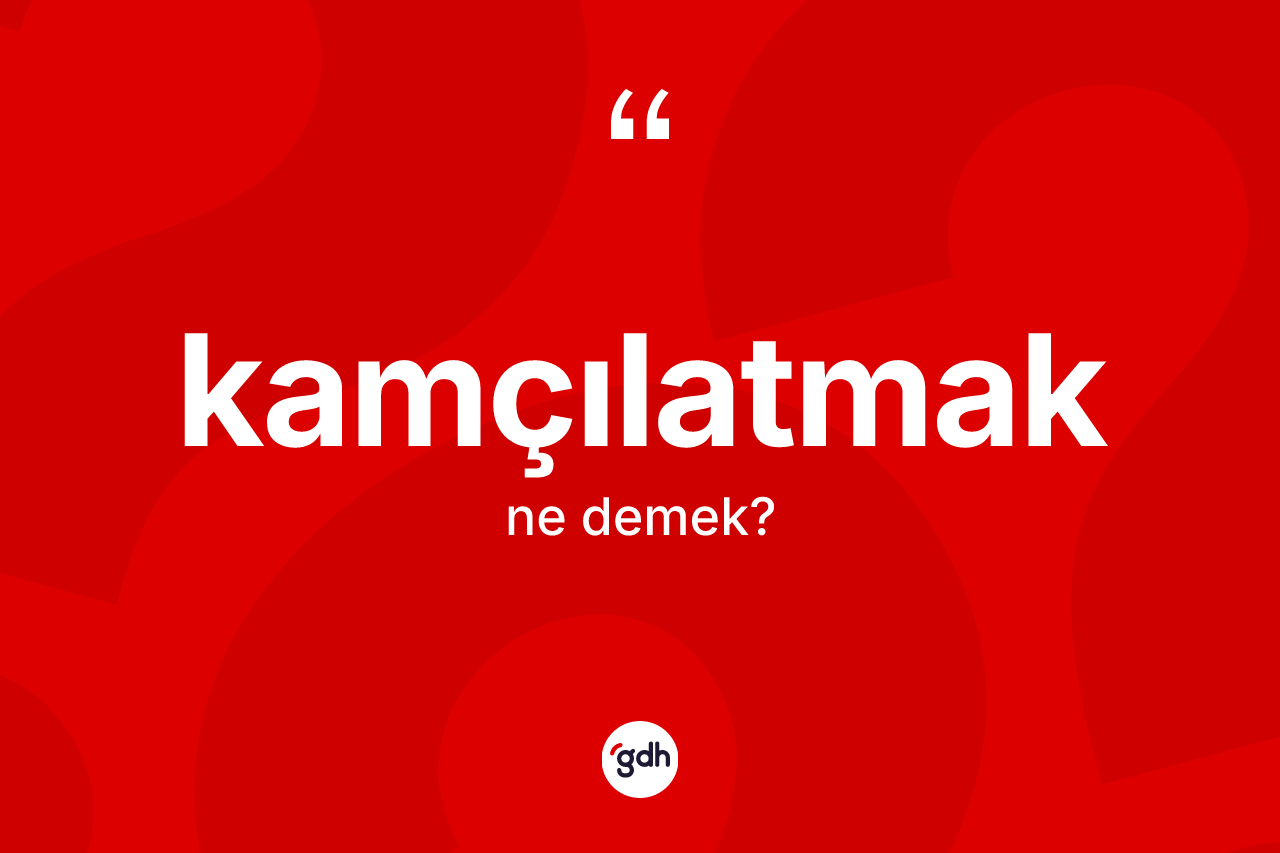 Kamçılatmak ne demek? Kamçılatmağın TDK'ya göre anlamı nedir?