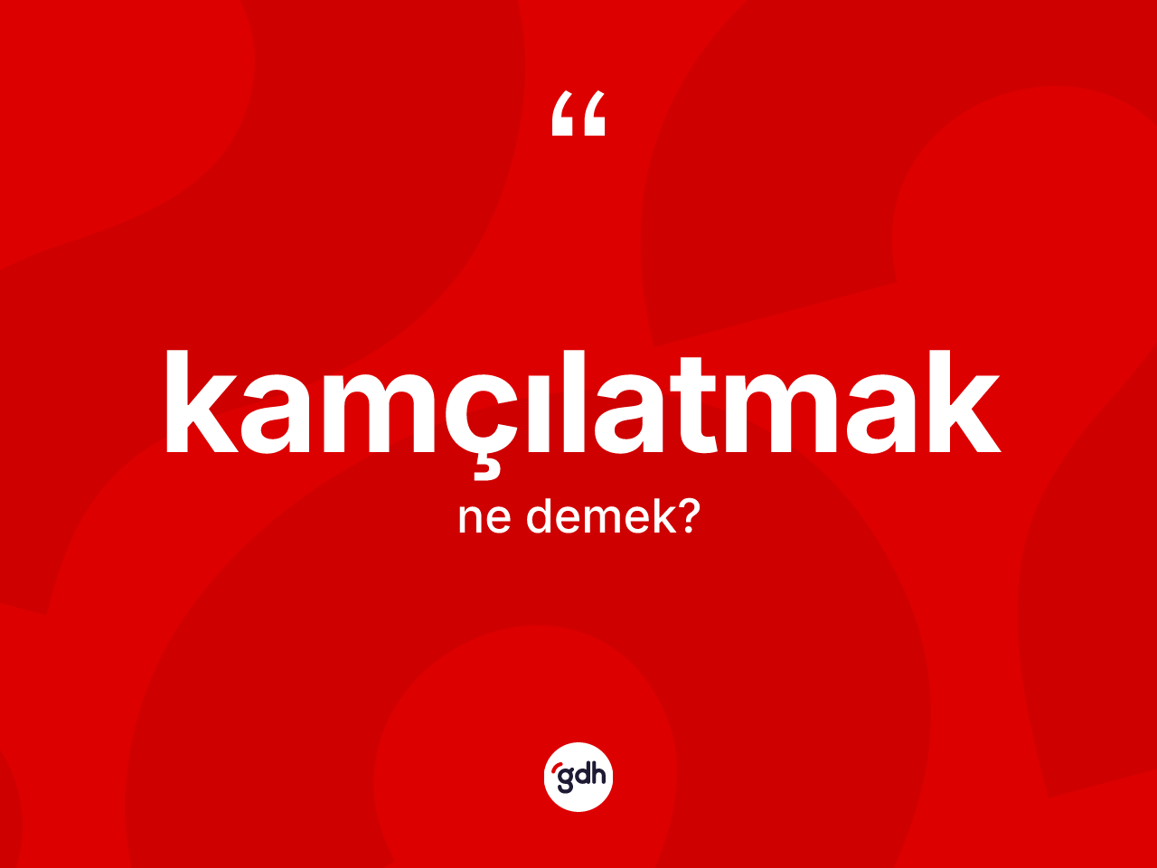 Kamçılatmak ne demek? Kamçılatmağın TDK'ya göre anlamı nedir?