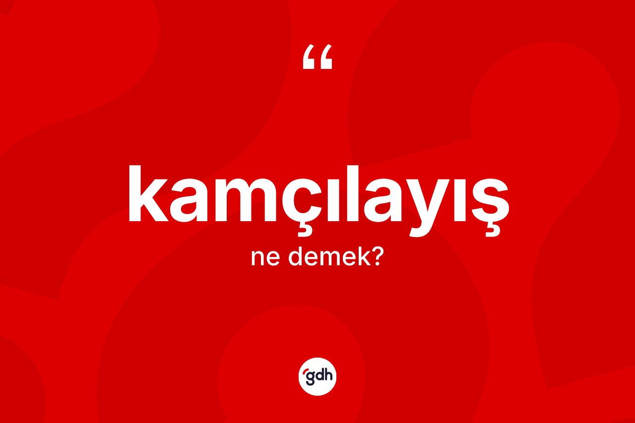 Kamçılayış kelimesinin sözlükteki tanımı nedir? Kamçılayış kelimesinin TDK anlamı nedir?