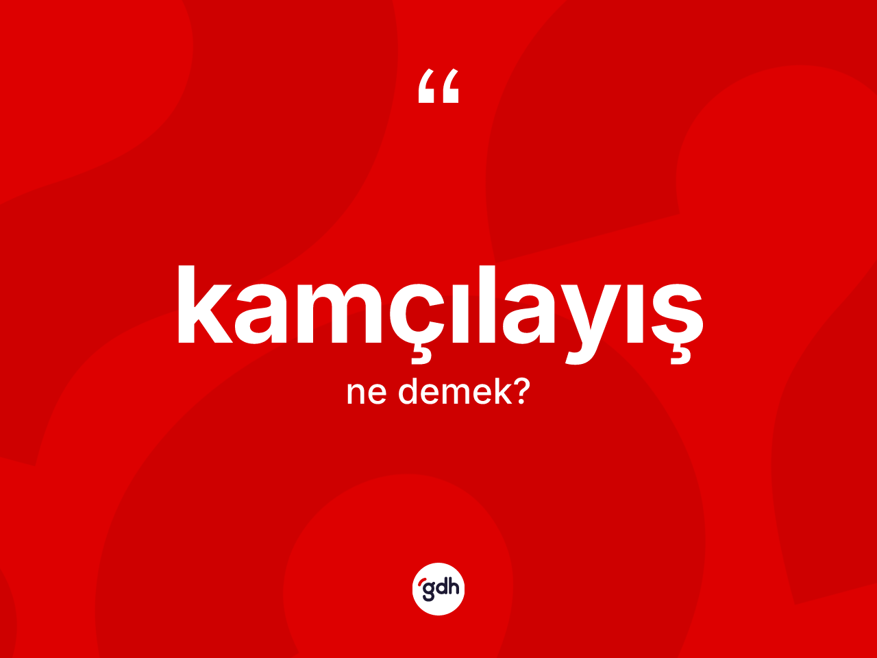 Kamçılayış kelimesinin sözlükteki tanımı nedir? Kamçılayış kelimesinin TDK anlamı nedir?