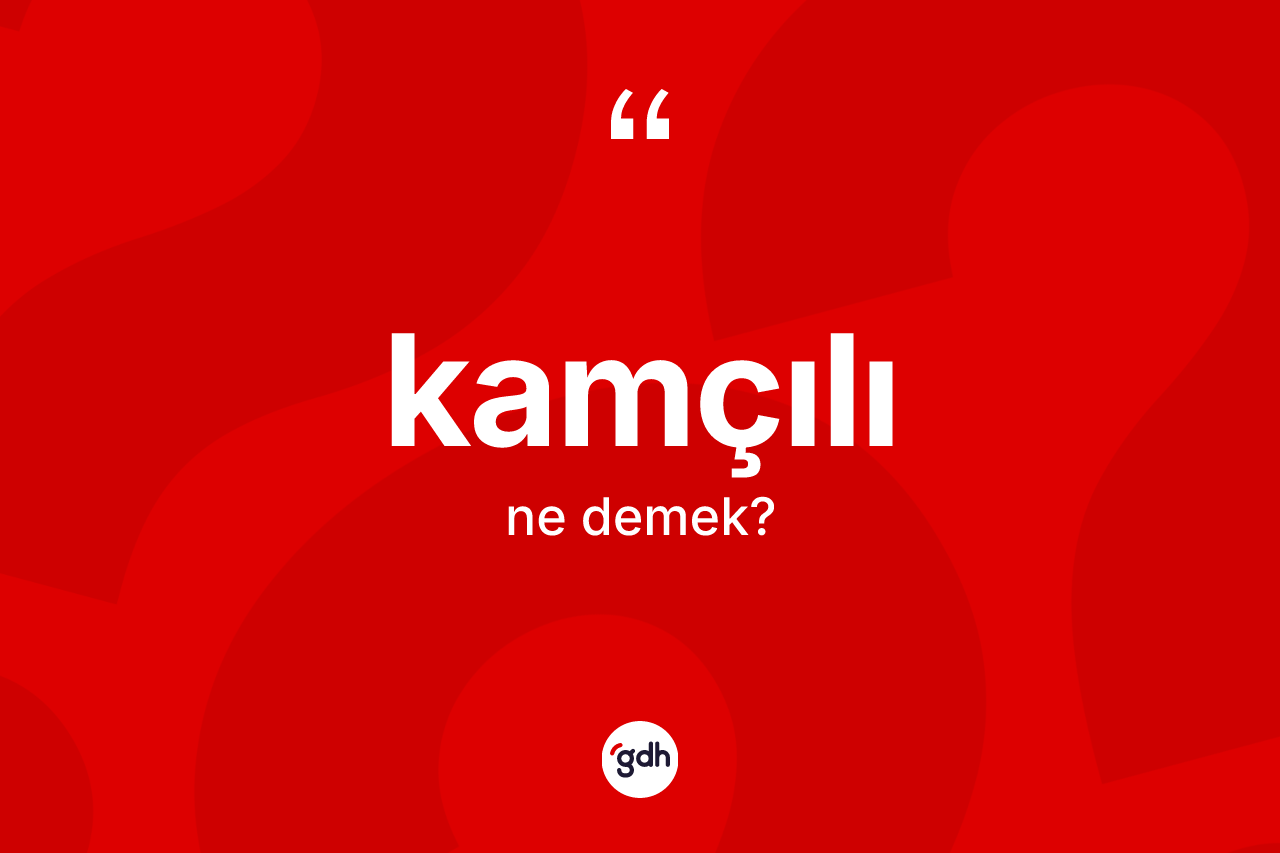Kamçılı kelimesi nedir? Kamçılının halk arasındaki kullanımı nasıldır?