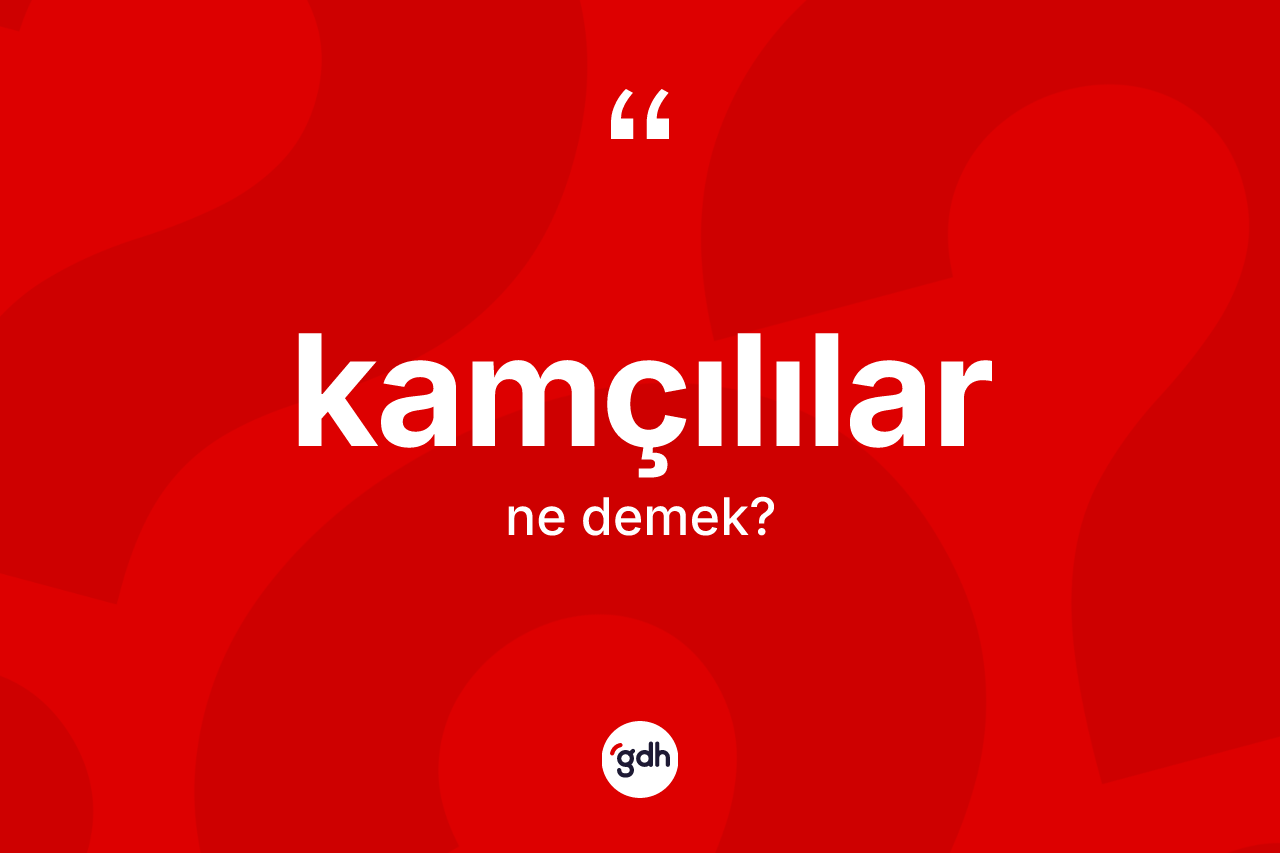 Kamçılılar kelimesi ne demek? Kamçılılar kelimesinin kaç farklı anlamı var?