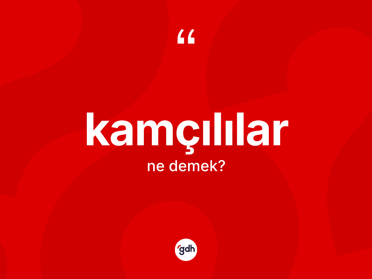 Kamçılılar kelimesi ne demek? Kamçılılar kelimesinin kaç farklı anlamı var?